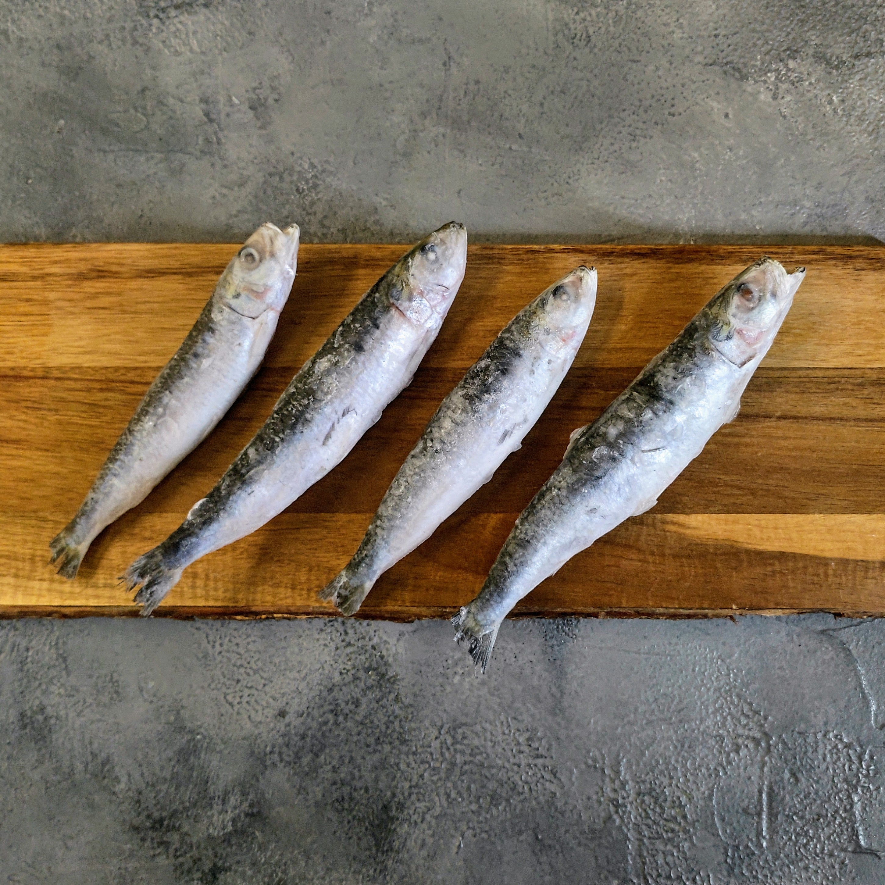 Sardines (Sardina Pilchardus) | 1kg Bag | Seafood Direct