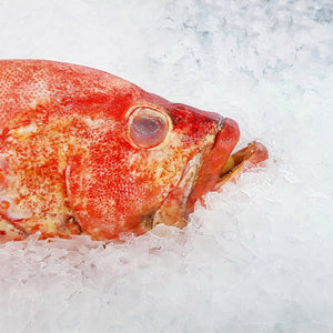 4 Myths You May Have Heard About Frozen Fish
