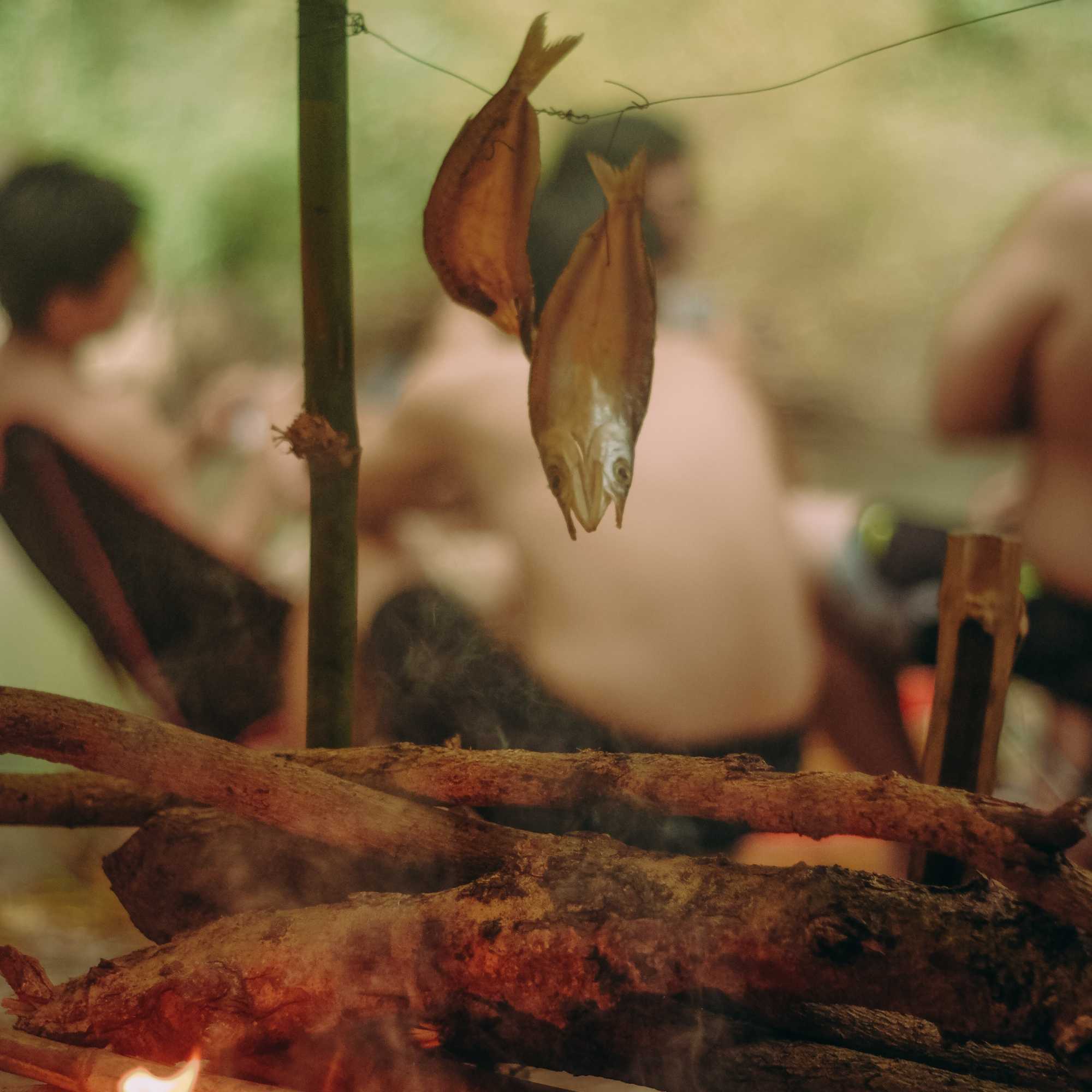 The Best Way to Smoke Seafood – Seafood Direct UK