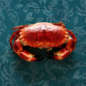 Crab | Seafood Direct UK