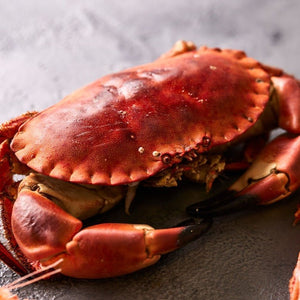 Crab - Seafood Direct UK