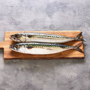 Whole Fish - Seafood Direct UK