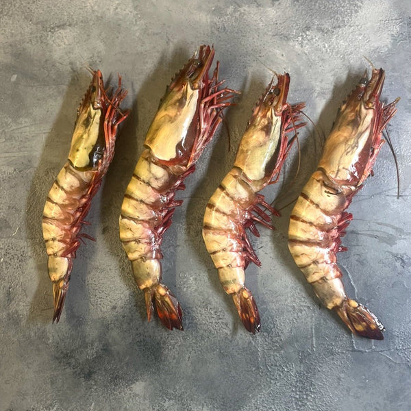 2/4 Extra Large Head On Shell On Prawns - Seafood Direct UK