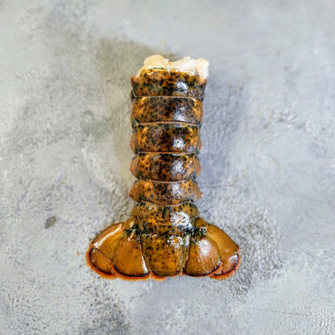 Lobster Tail  MSC