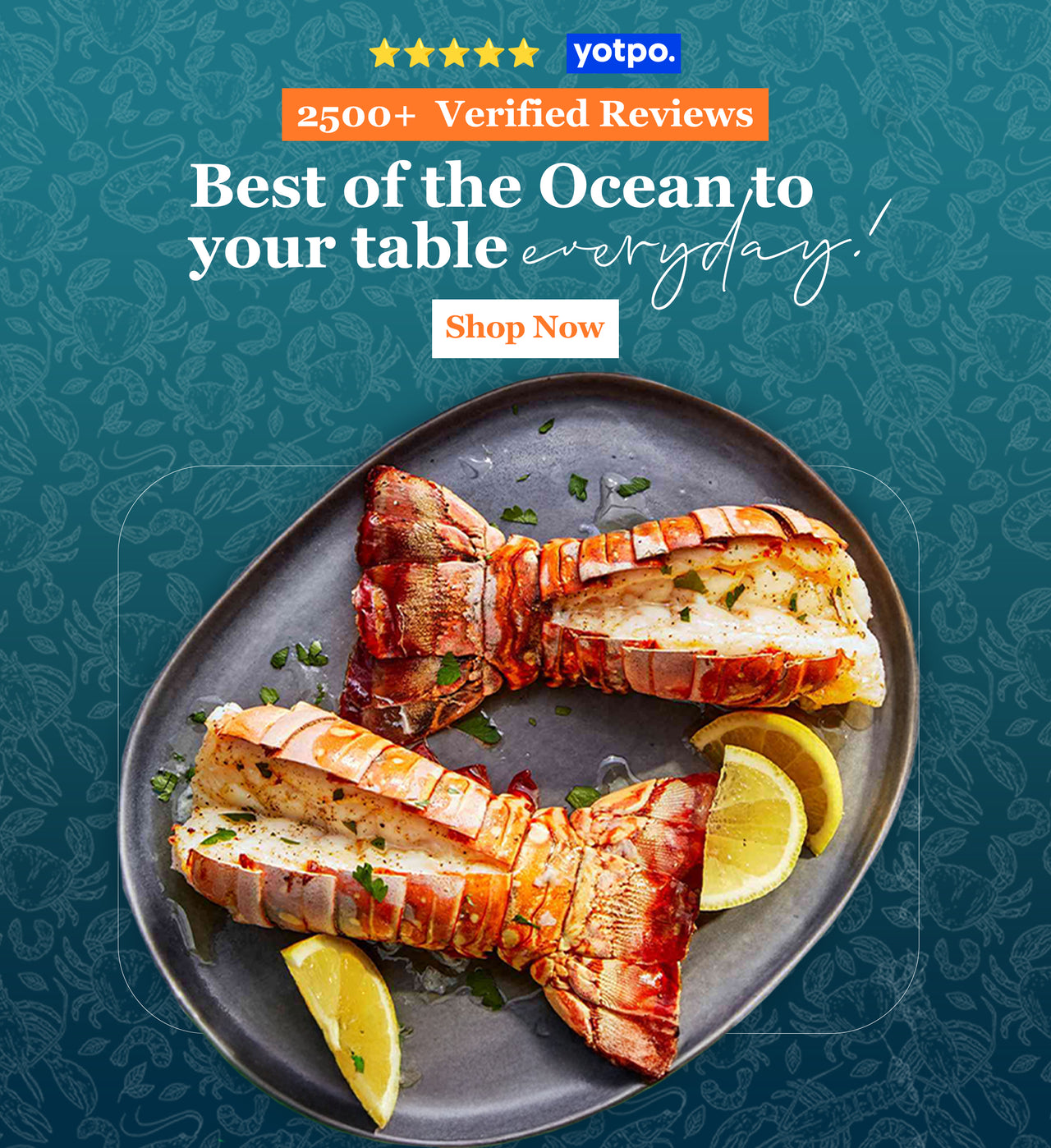 Buy Frozen Seafood & Fish Online | Seafood Direct UK