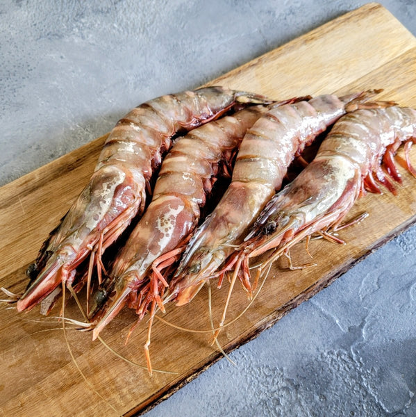 Black Tiger Head On Shell On Prawn 6/8 - Seafood Direct UK