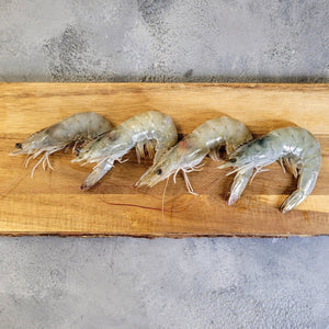 Raw Crevettes 20/30 - Seafood Direct UK