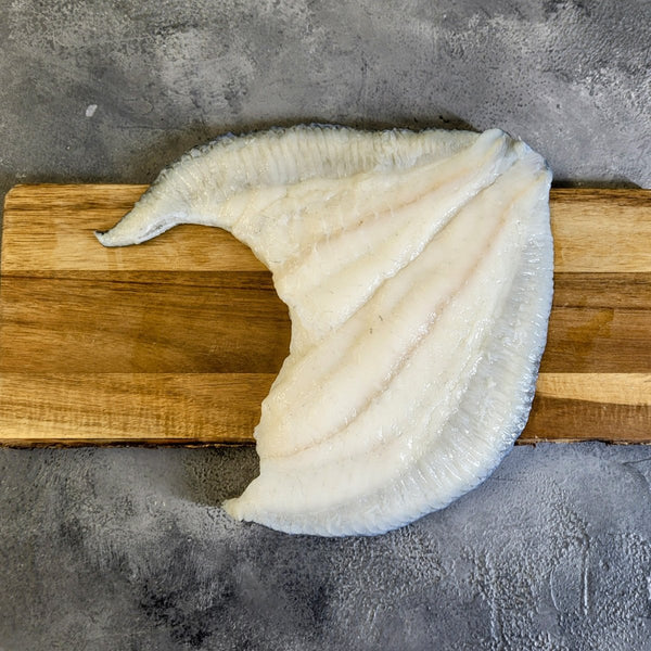 Turbot Fillet - Seafood Direct UK