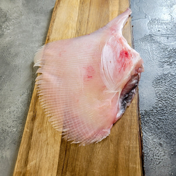 Wild British Skate Wings - Seafood Direct UK