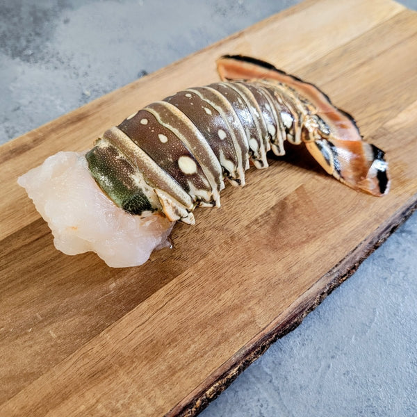 Wild Caribbean Rock Lobster Tail - Seafood Direct UK