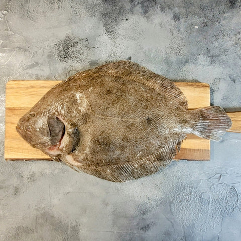 Wild Cornish Whole Brill - Seafood Direct UK