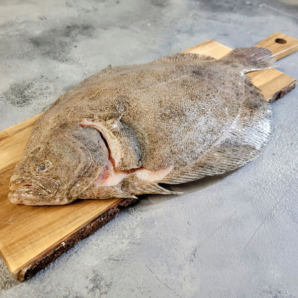 Wild Cornish Whole Brill - Seafood Direct UK