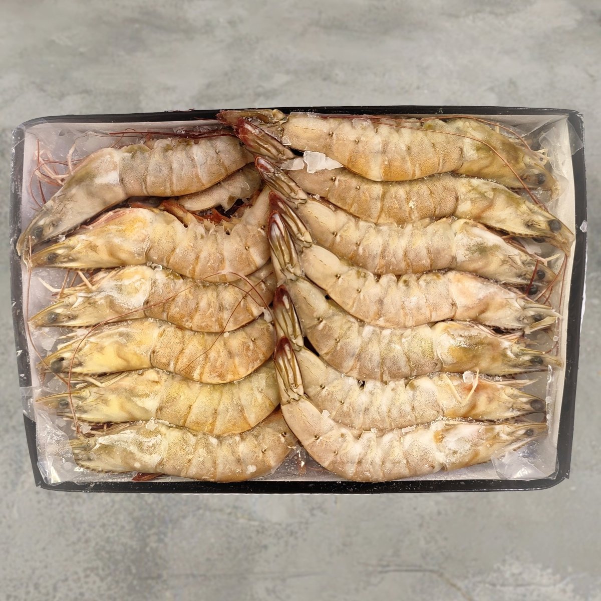 Black Tiger Prawns Head On Shell ON 16/20 - Seafood Direct UK