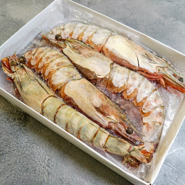 Extra Large Head On Shell On Prawns 2-4 - Seafood Direct UK