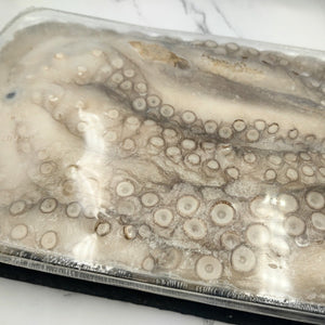 Octopus 1.2 - 2 Kilo - Seafood Direct UK