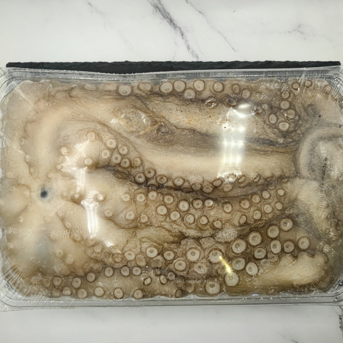 Octopus 1.2 - 2 Kilo - Seafood Direct UK