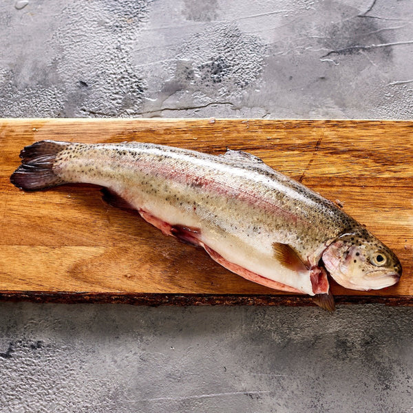 Rainbow Trout (Whole Gutted) - Seafood Direct UK