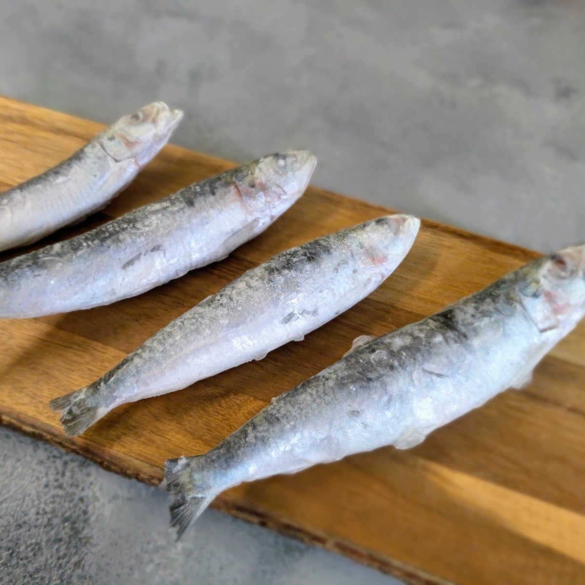 Sardines (Sardina Pilchardus) | 1kg Bag | Seafood Direct