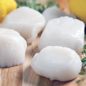 Scallops Roe Off 10/20 - Seafood Direct UK