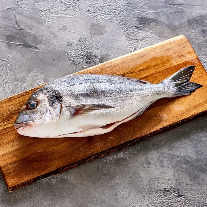 Sea bream (Whole Gutted ) - Seafood Direct UK