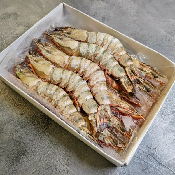 Sea Tiger Head On Shell On Prawn 8/12 - Seafood Direct UK